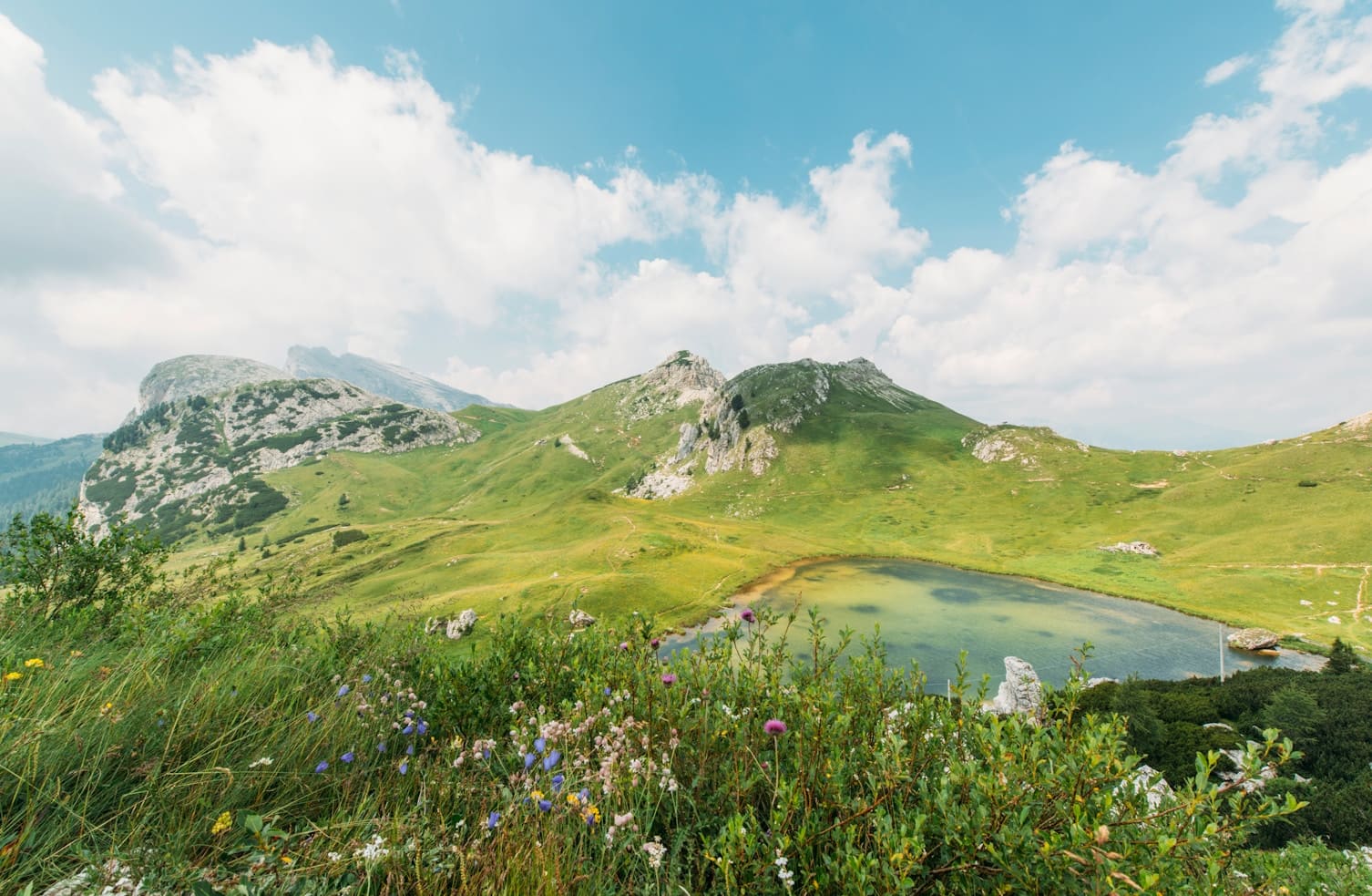 Imagen paisaje